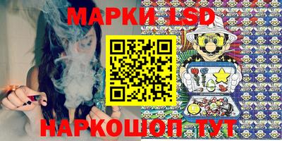 spice Обь