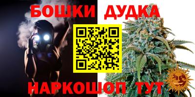 spice Обь