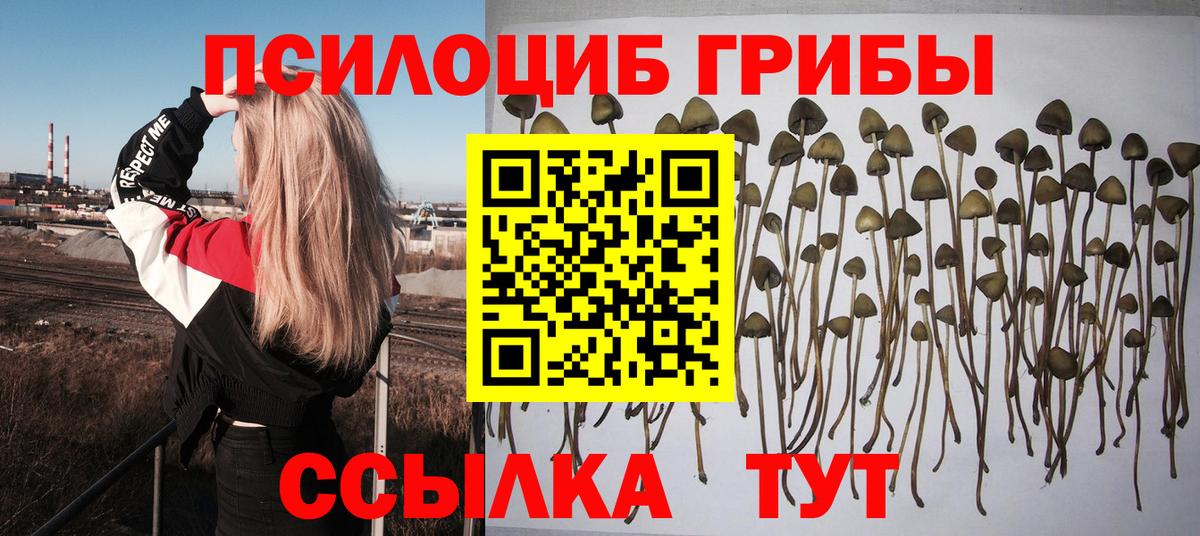 Галлюциногенные грибы прущие грибы Кондопога