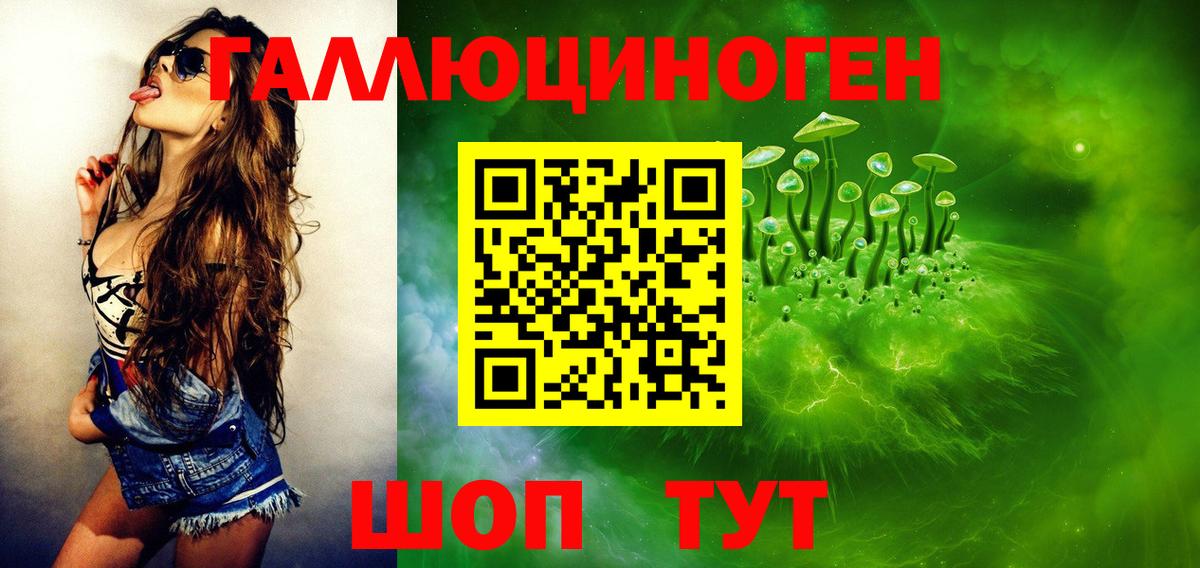 Кондопога  Галлюциногенные грибы Cubensis  Вход с VPN 
